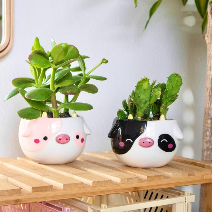Cow Planter - Pink