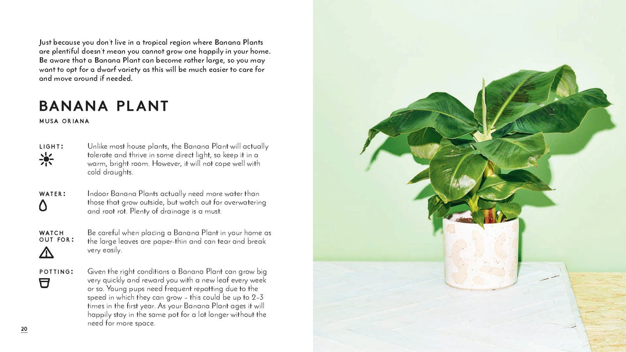 The Little Book of House Plants