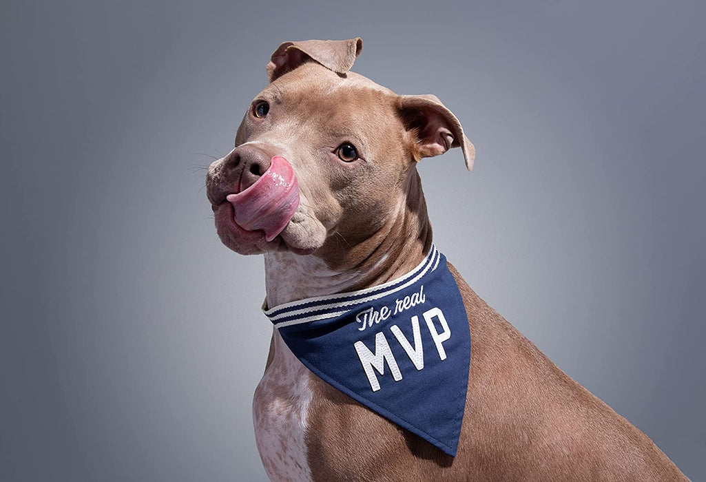 The Real MVP Dog Bandana