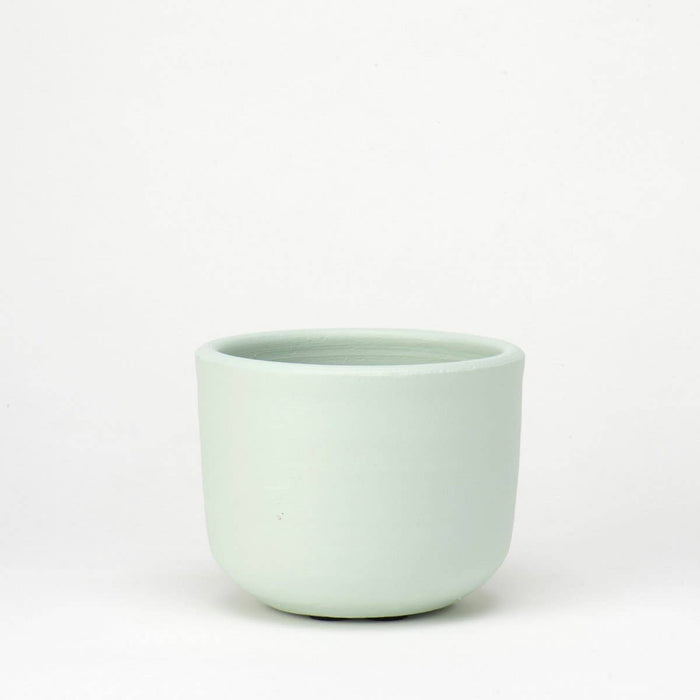 cache succulent 6" House Plant Cache Pot