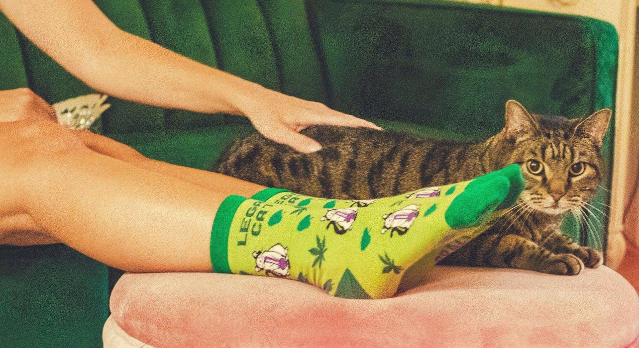 Womens Legalize Catnip Socks