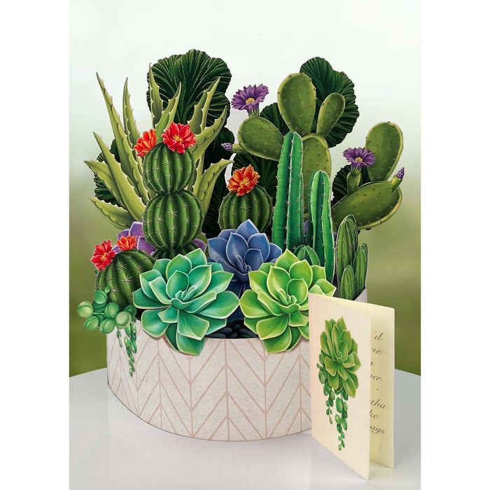 Cactus Garden Pop-up Greeting Card