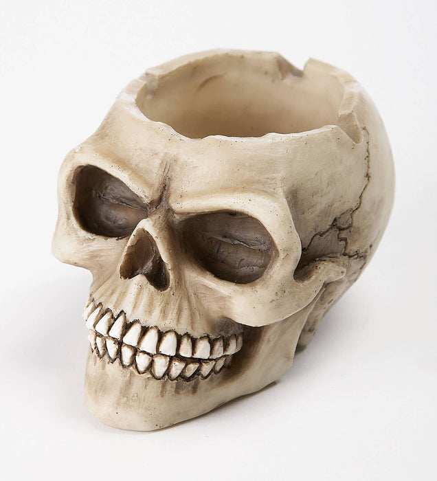 Skull Ashtray