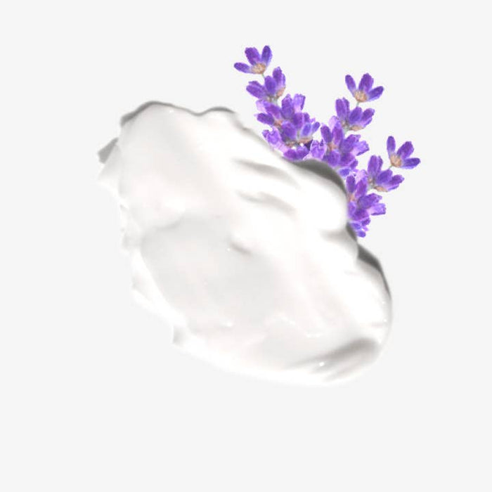 Lavender & Sage Hand Cream (1.5oz Tube)